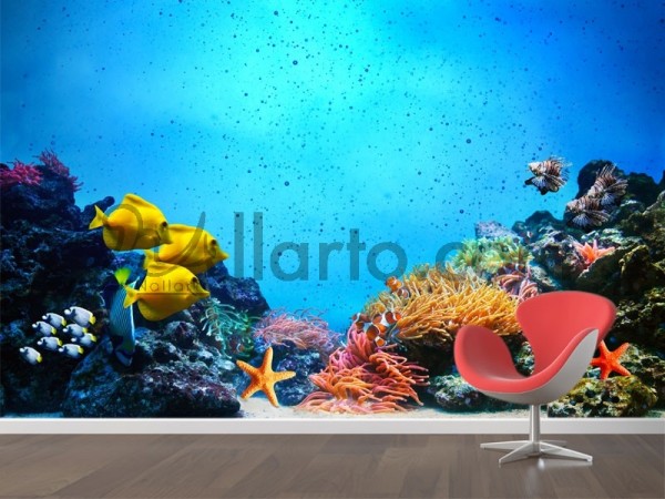 Under water sea per square meter